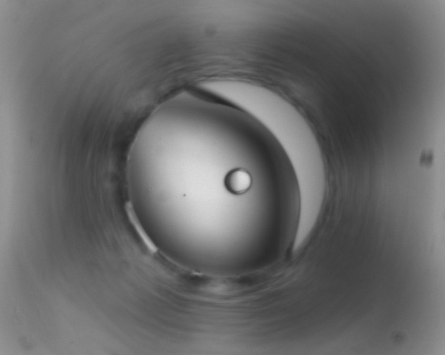 X0000114630221200910201427