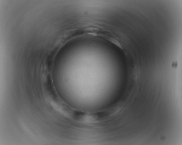 X0000114630223200910201427