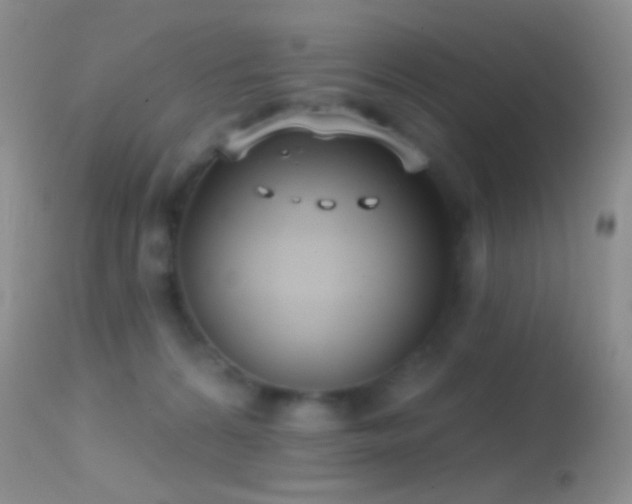 X0000114630224200910201427