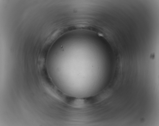 X0000114630227200910201427