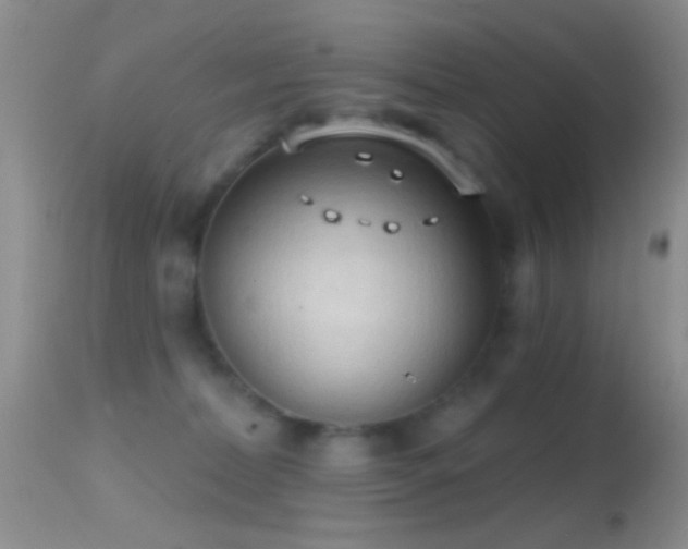 X0000114630228200910201427