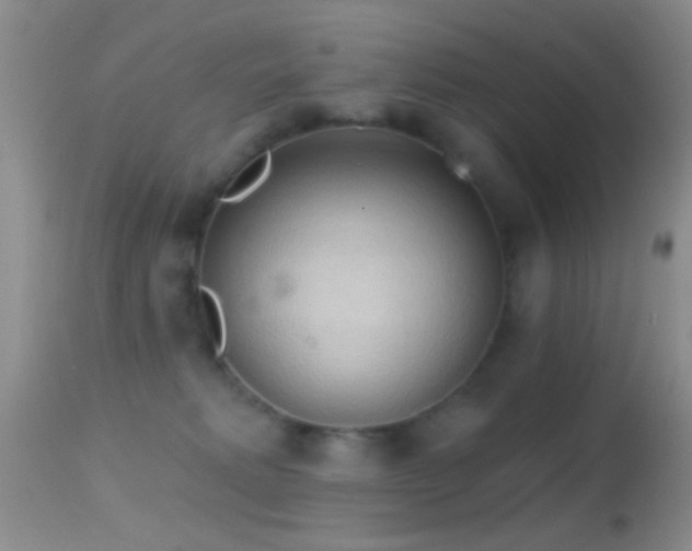 X0000114630229200910201427