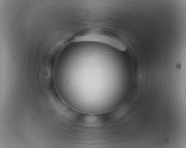 X0000114630230200910201427