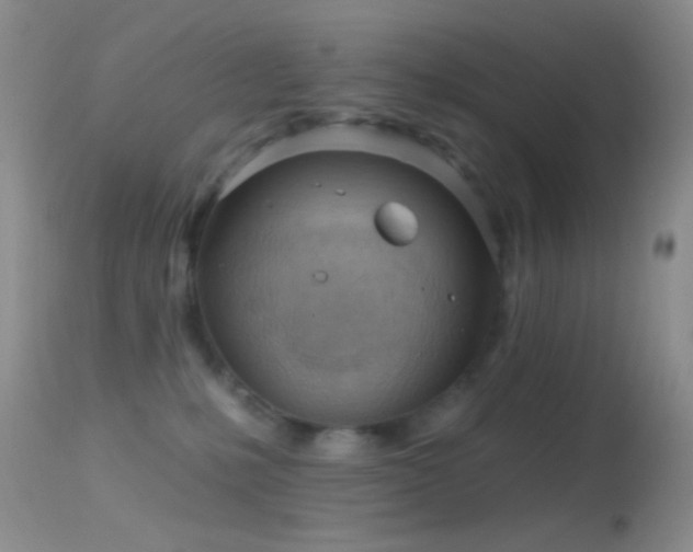 X0000114630231200910201427