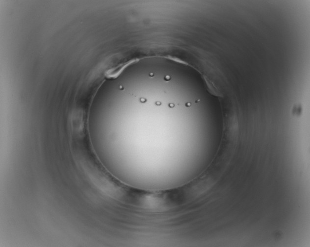 X0000114630232200910201427