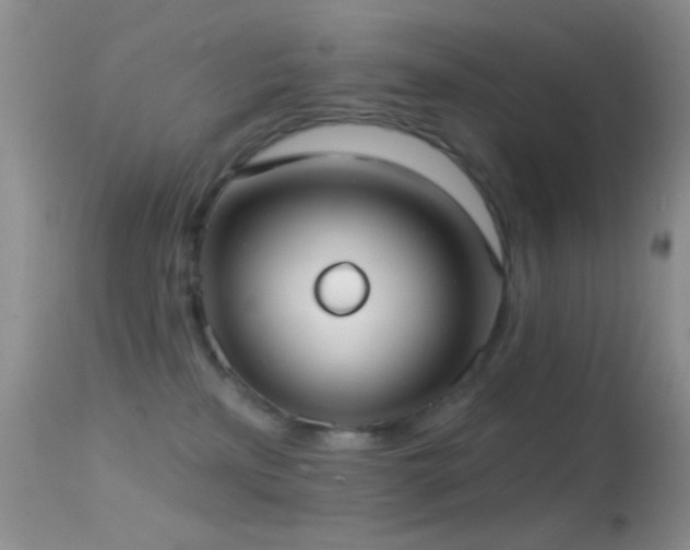 X0000114630233200910201427