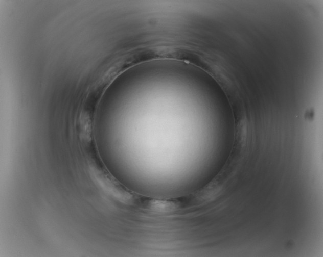 X0000114630234200910201427