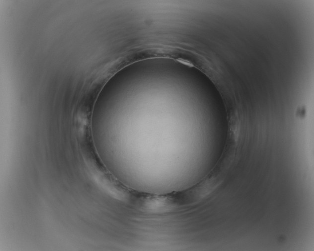 X0000114630235200910201427