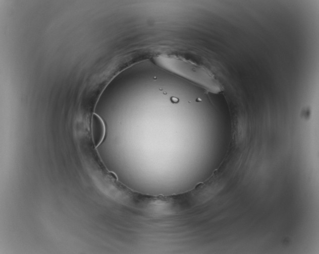 X0000114630236200910201427