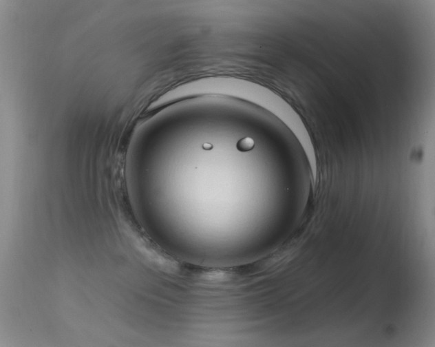 X0000114630237200910201427