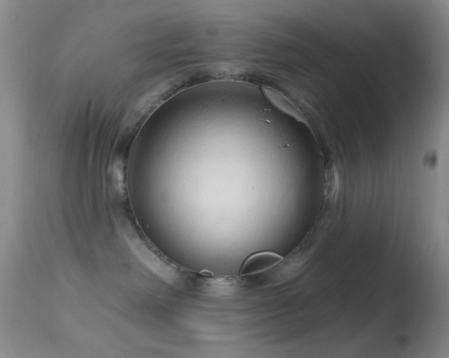 X0000114630238200910201427