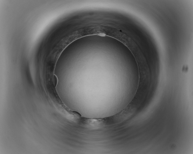 X0000114630239200910201427