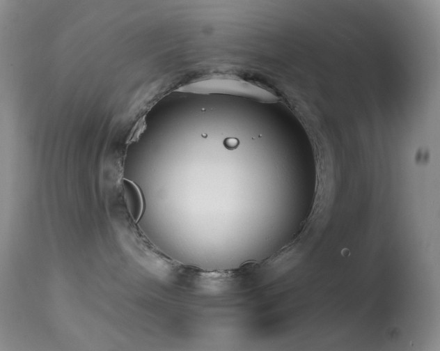 X0000114630240200910201427