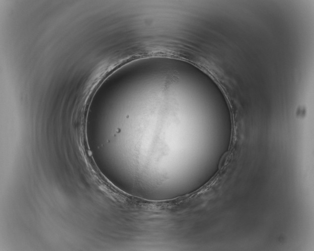 X0000114630241200910201426