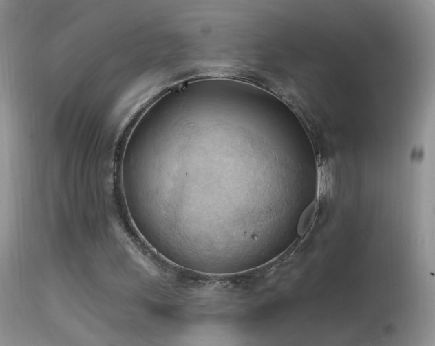 X0000114630243200910201426