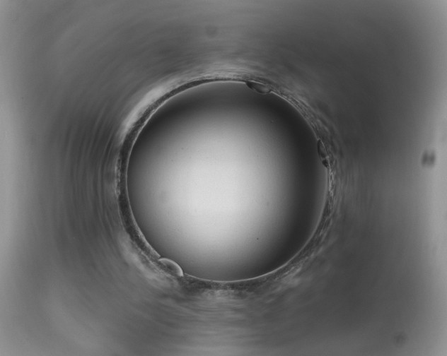 X0000114630244200910201426