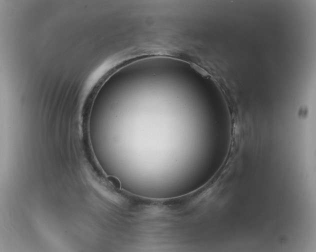 X0000114630246200910201426