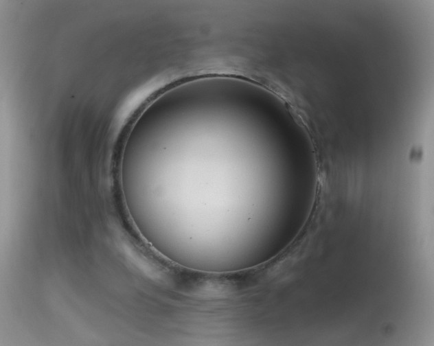 X0000114630248200910201426