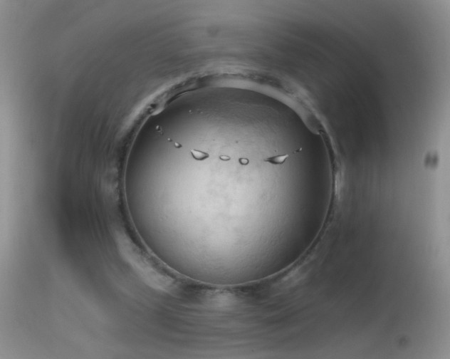 X0000114630249200910201426