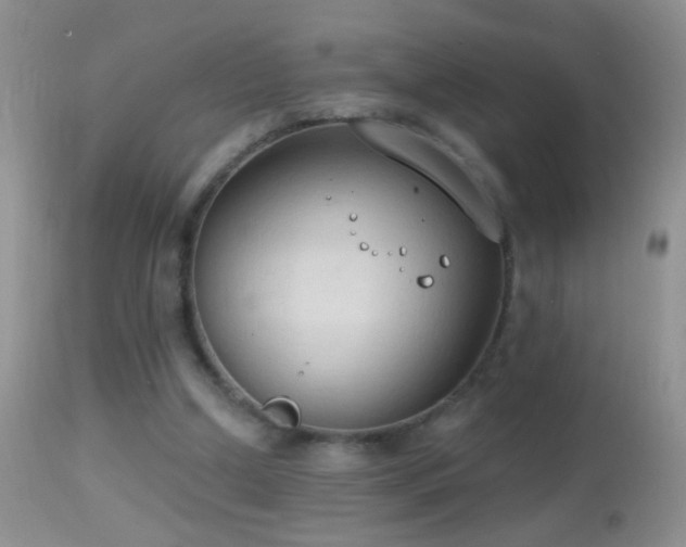 X0000114630250200910201426