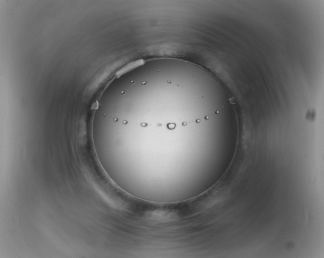 X0000114630251200910201426