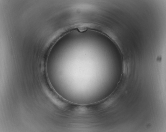 X0000114630253200910201426