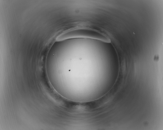 X0000114630255200910201426