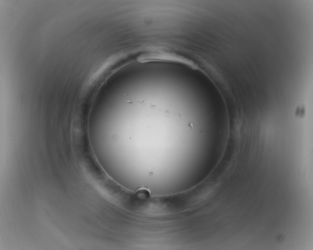 X0000114630256200910201426