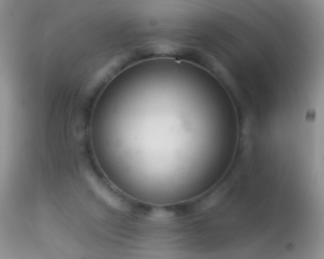 X0000114630257200910201426