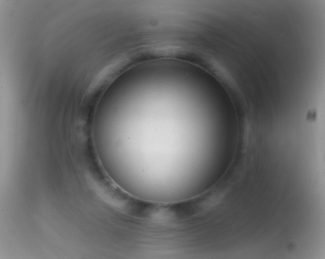 X0000114630258200910201426