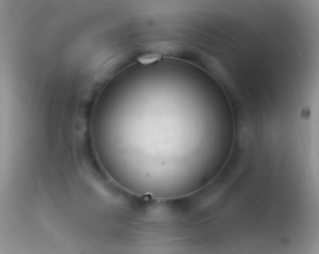 X0000114630259200910201426