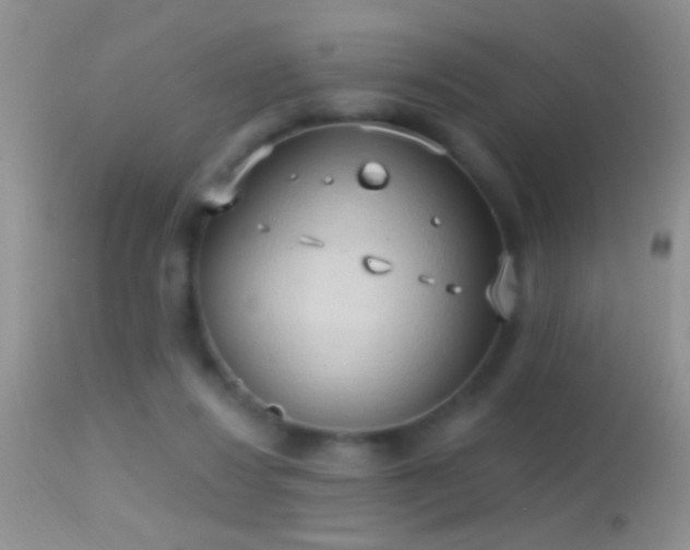 X0000114630260200910201426