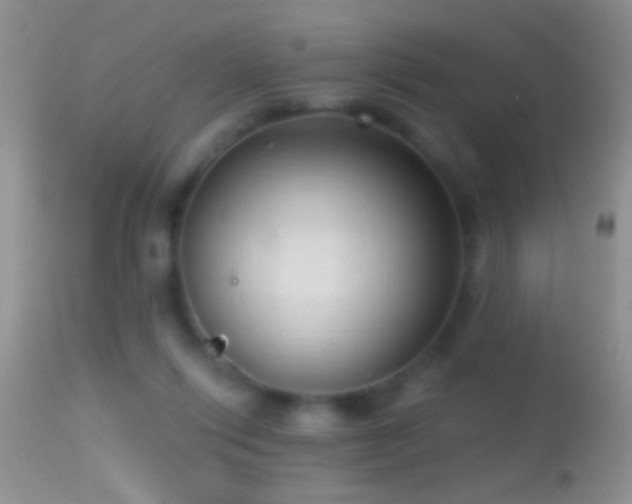 X0000114630262200910201426