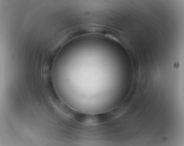 X0000114630263200910201426