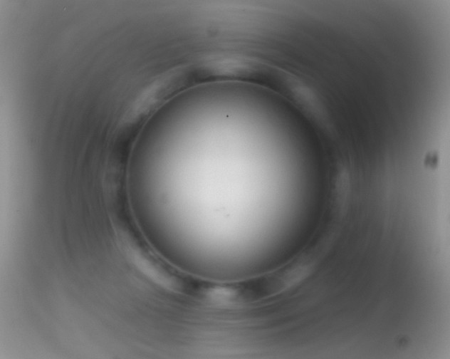 X0000114630265200910201426