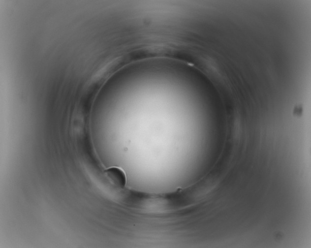 X0000114630266200910201426