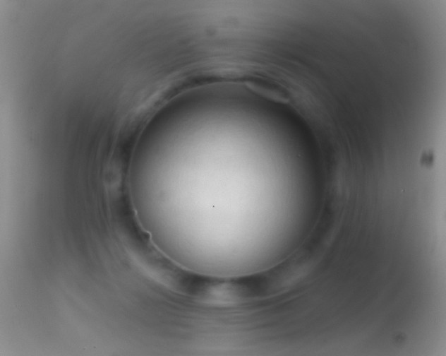 X0000114630268200910201426