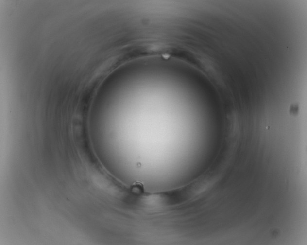 X0000114630269200910201426