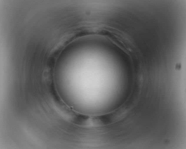 X0000114630270200910201426