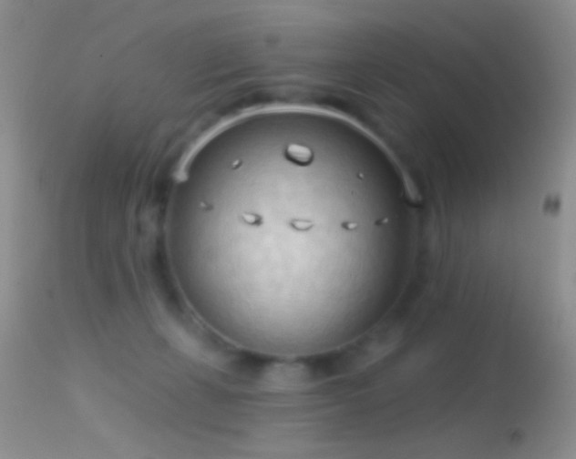 X0000114630271200910201426