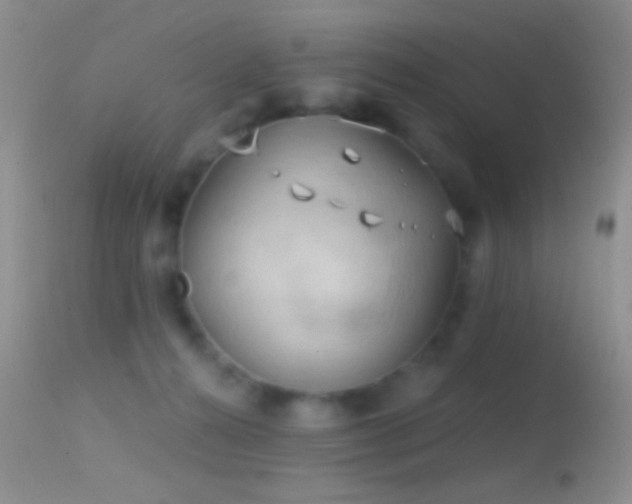 X0000114630272200910201426