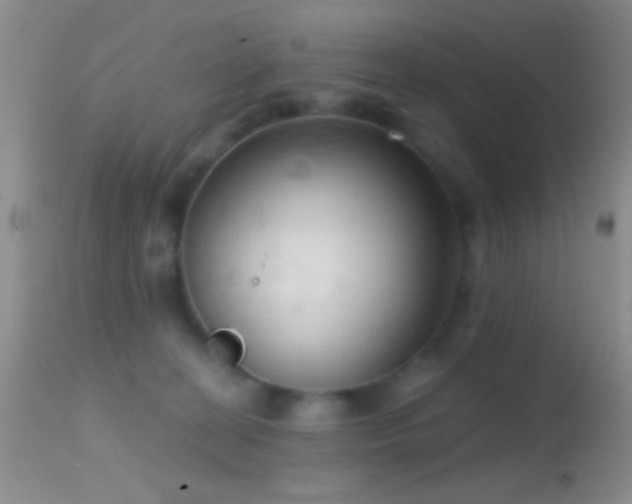 X0000114630274200910201426