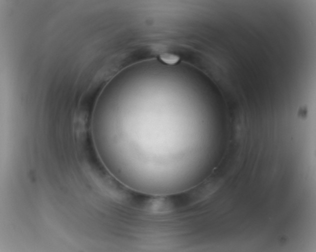 X0000114630275200910201426