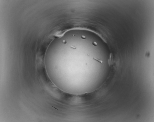 X0000114630276200910201426