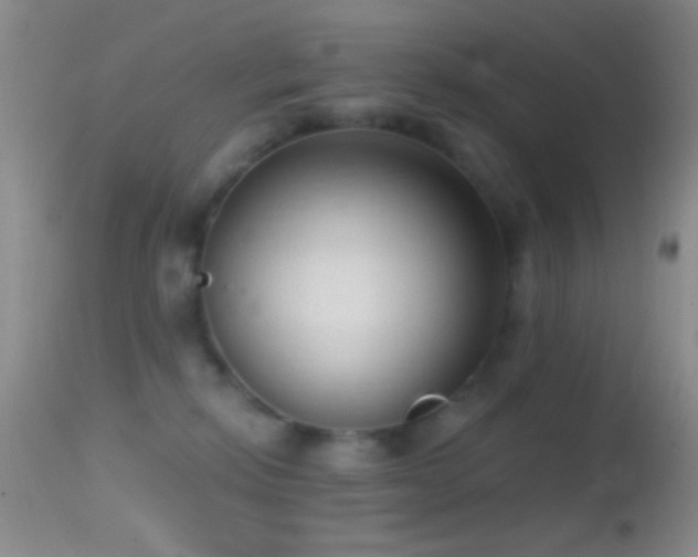 X0000114630278200910201426