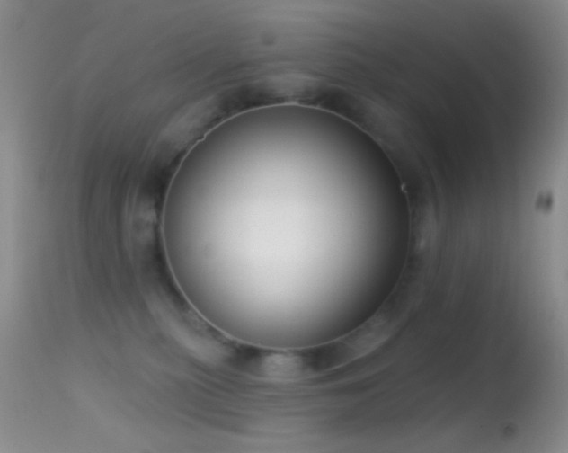 X0000114630279200910201426