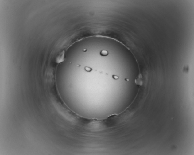 X0000114630280200910201426