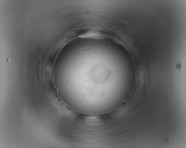 X0000114630281200910201426