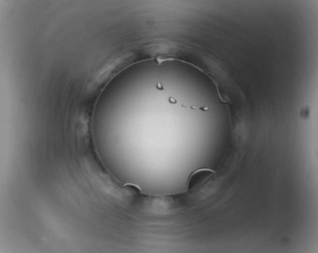 X0000114630282200910201426