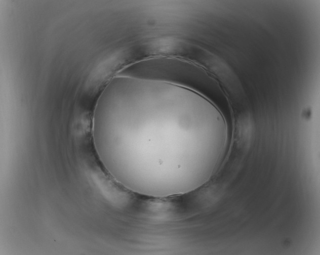 X0000114630284200910201426